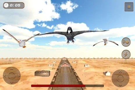 老鹰比赛模拟器(Birds Race Simulator)