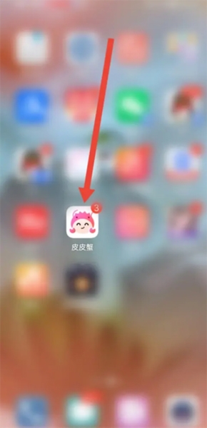 皮皮蟹7