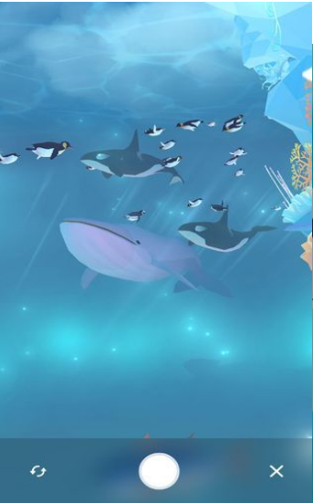 金多多水族馆红包版