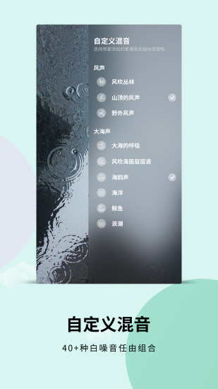 白噪音免登陆版