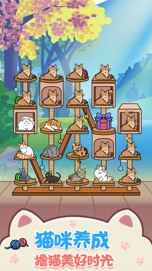 猫咪公寓免费版(Cat Condo2)