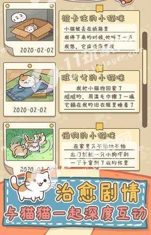 猫猫涨芝士