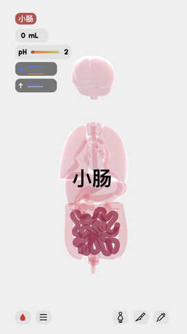 life生命
