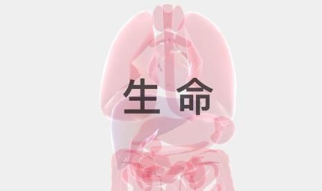 life生命模拟器界面示意图