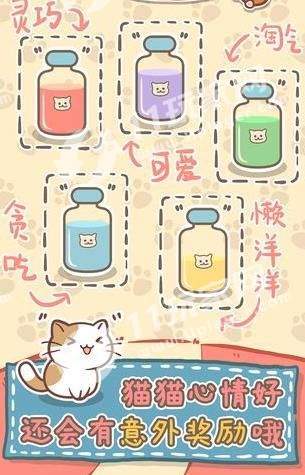 猫猫涨芝士