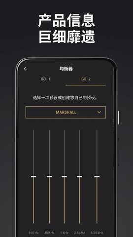 Marshall Bluetooth