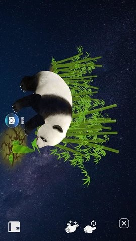 fun globe