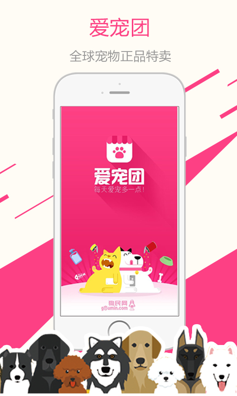 爱宠团