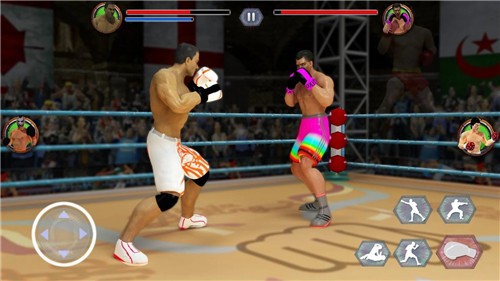 拳击明星冠军3D(Tag Boxing)