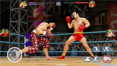 拳击明星冠军3D(Tag Boxing)