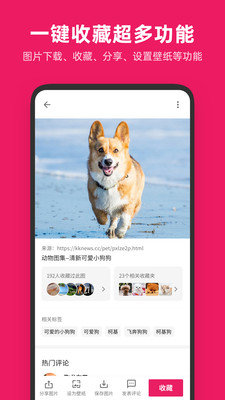 图搜搜(图片搜搜)去广告版