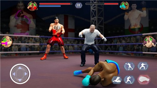 拳击明星冠军3D(Tag Boxing)