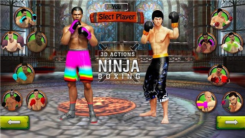 拳击明星冠军3D(Tag Boxing)