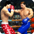 拳击明星冠军3D(Tag Boxing)