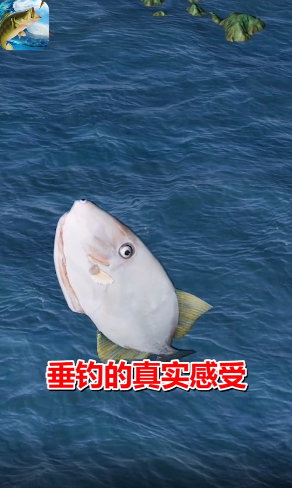 垂钓大亨游戏 1.0.0.000.1208.1603手机版