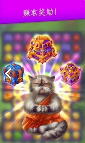 可爱的猫咪