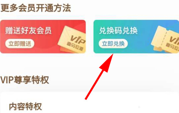 VIP兑换码使用示意图