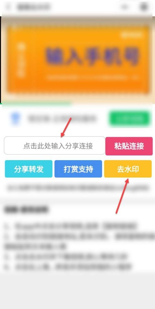 粘贴链接并执行去水印操作