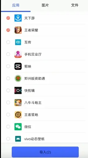 光速虚拟机安卓版界面展示