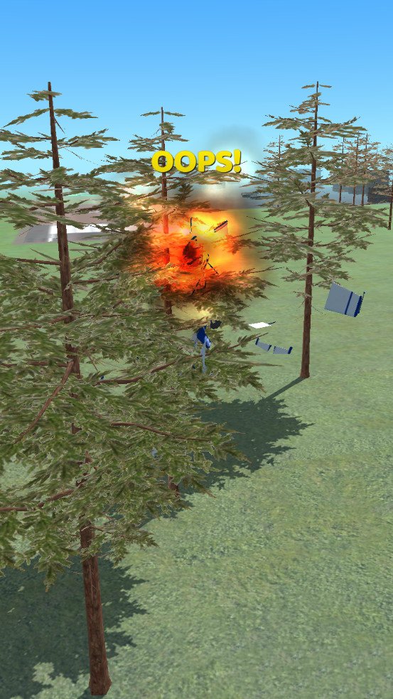 飞机坠毁3D(Plane Crash 3D)