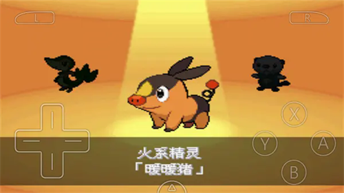 口袋妖怪黑白2下载