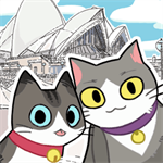 猫友圈猫咪的旅行