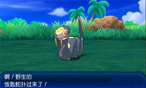 精灵宝可梦究极之日