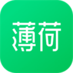 薄荷健康官方版
