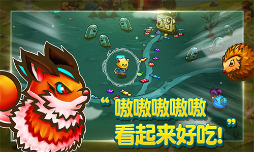 喵咪斗恶龙
