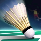 Real Badminton World Racing 2018安卓版