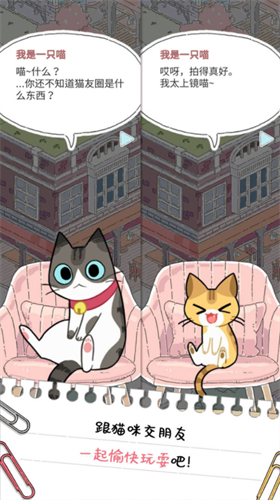 猫友圈猫咪的旅行