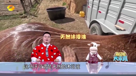 fm影视t