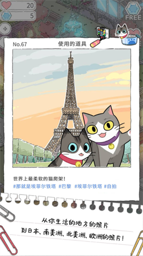 猫友圈猫咪的旅行