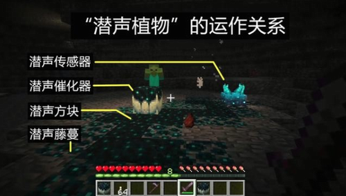 我的世界1.19版下载手机版