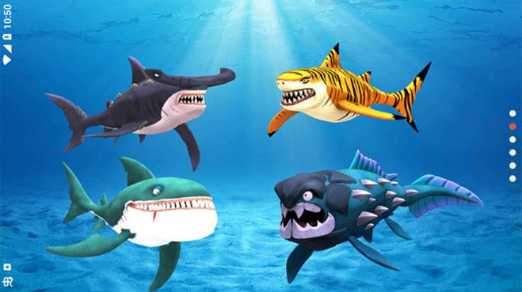 我的鲨鱼秀My Shark Show存档版