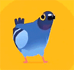 pigeon移植版