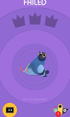 pigeon移植版