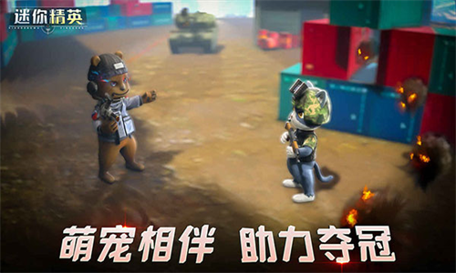 迷你精英
