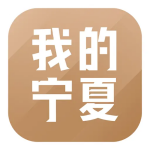 我的宁夏app