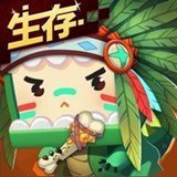 皮肤激活码2021