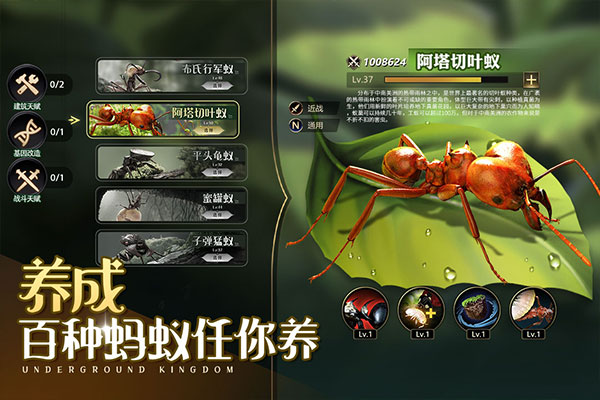 小小蚁国犀游客户端