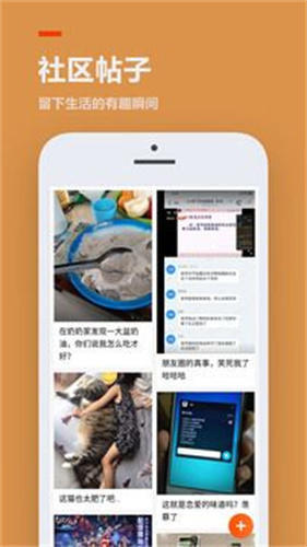 233乐园(不用实名认证)(无广告)