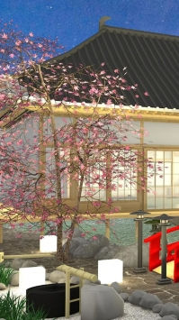 温泉旅馆之谜(Hakone)