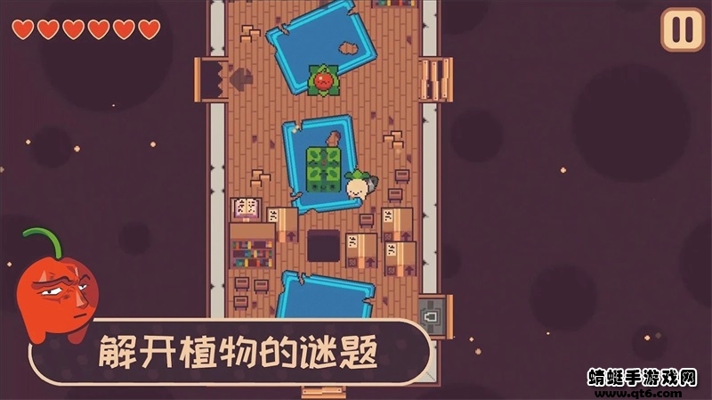 大头菜小子偷税了