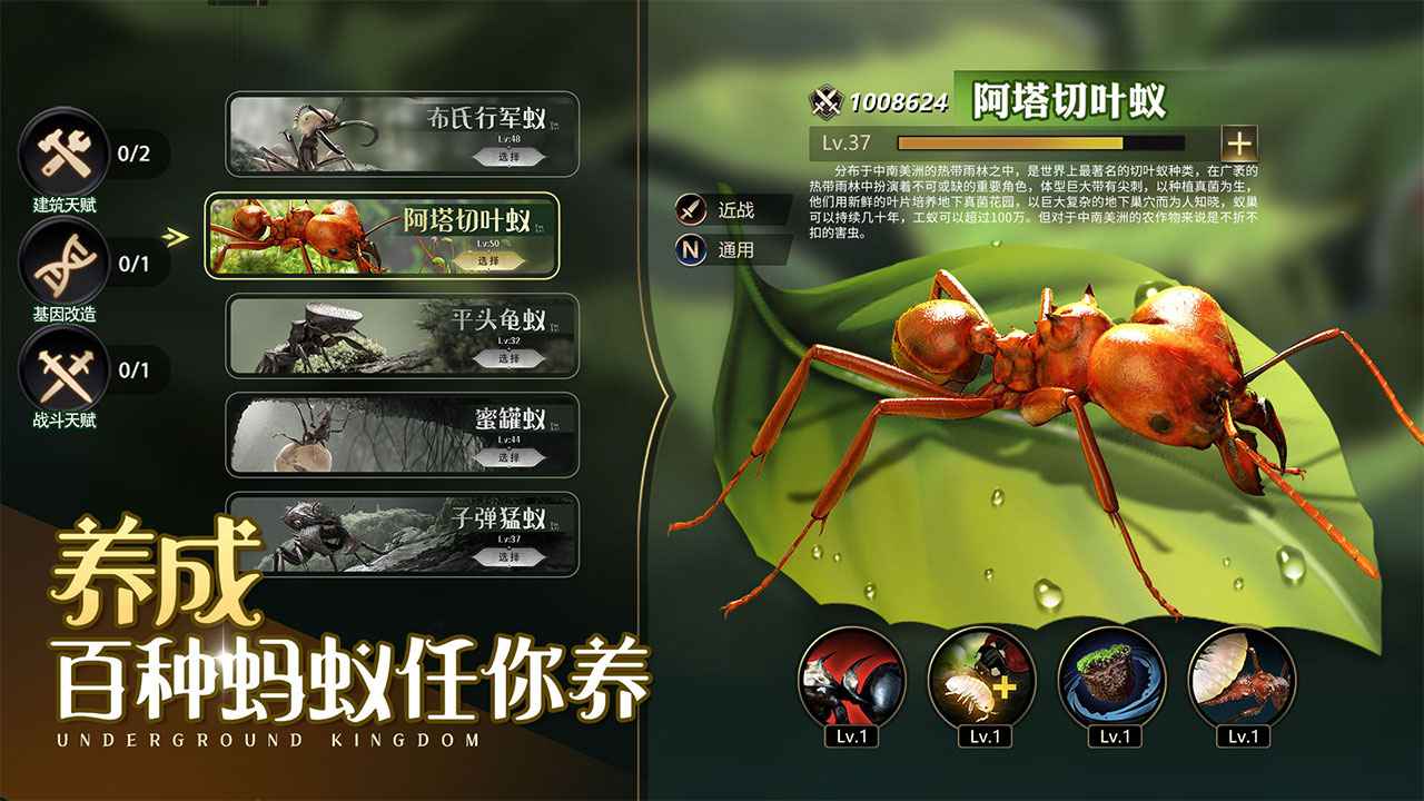 小小蚁国开局一只蚁手游 小小蚁国开局一只蚁手游