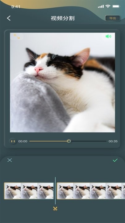 秋葵编辑