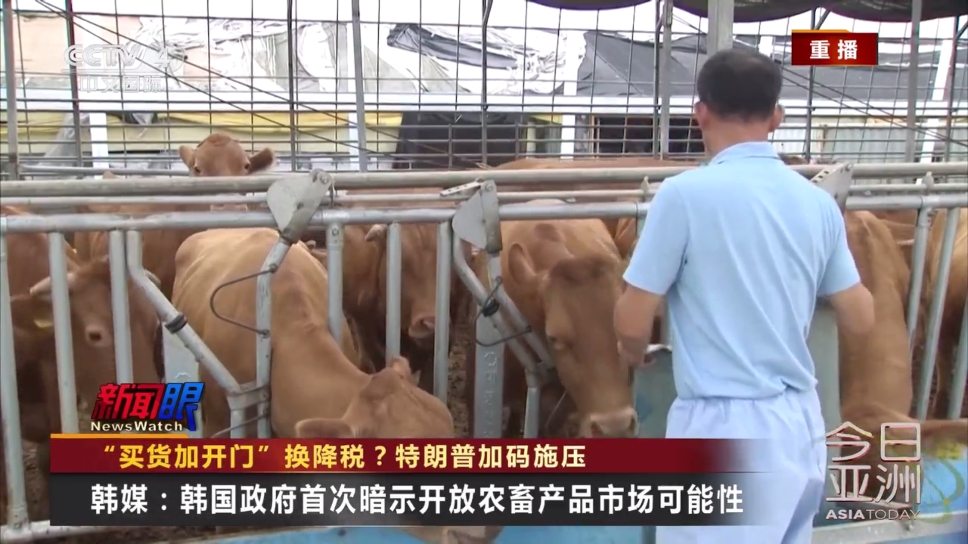 蓝光4K影视手机版下载