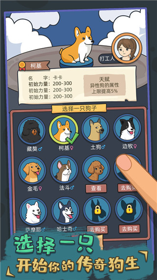 狗生模拟器正版