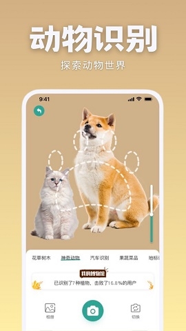 识花君免费下载