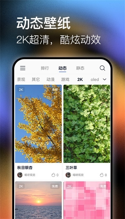 极壁纸手机版下载